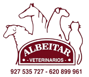 Albeitar Navalmoral Clinica Veterinaria